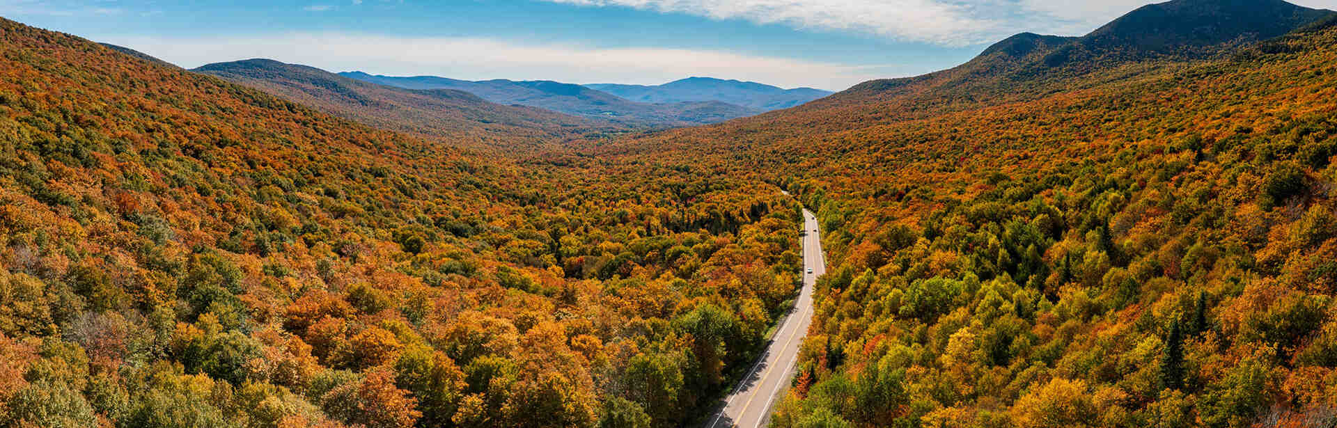 An aerial view a of forest and a road curving through it.